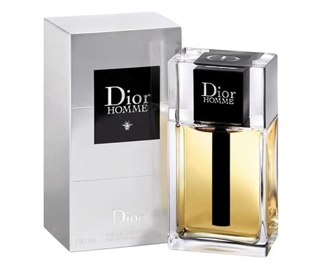 dior home|dior homme 2020 review.